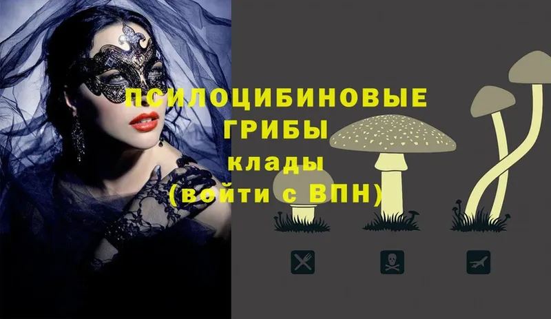 Псилоцибиновые грибы Magic Shrooms Правдинск